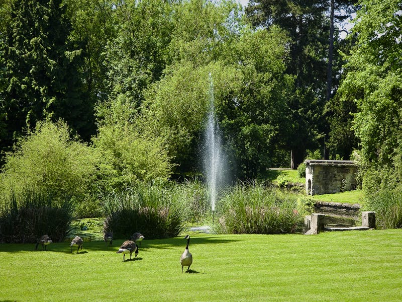 Mercure Shrewsbury Albrighton Hall Hotel and Spa Grounds and Lake