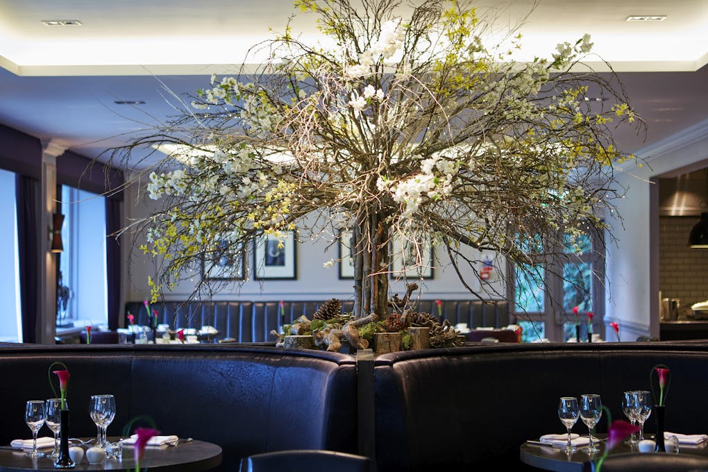 Macdonald Berystede Hotel & Spa Restaurant Tree