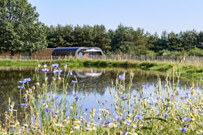 Bryn Tanat Wellness Spa Pond and Cabin