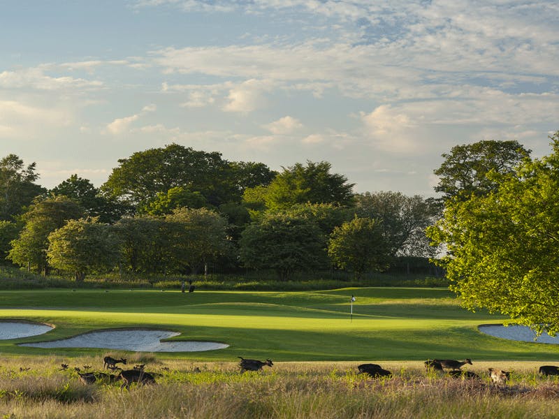 Delta Hotels by Marriott Forest of Arden Country Club Golf