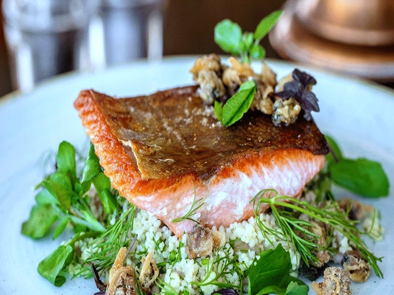 Rise Fitness and Wellbeing at Hilton Bournemouth Salmon Dish