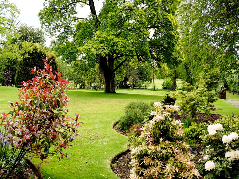 Macdonald Houstoun House Gardens 