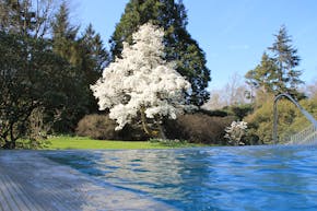 Rudding Park Hydrotherapy Infinity Pool Magnolia Tree