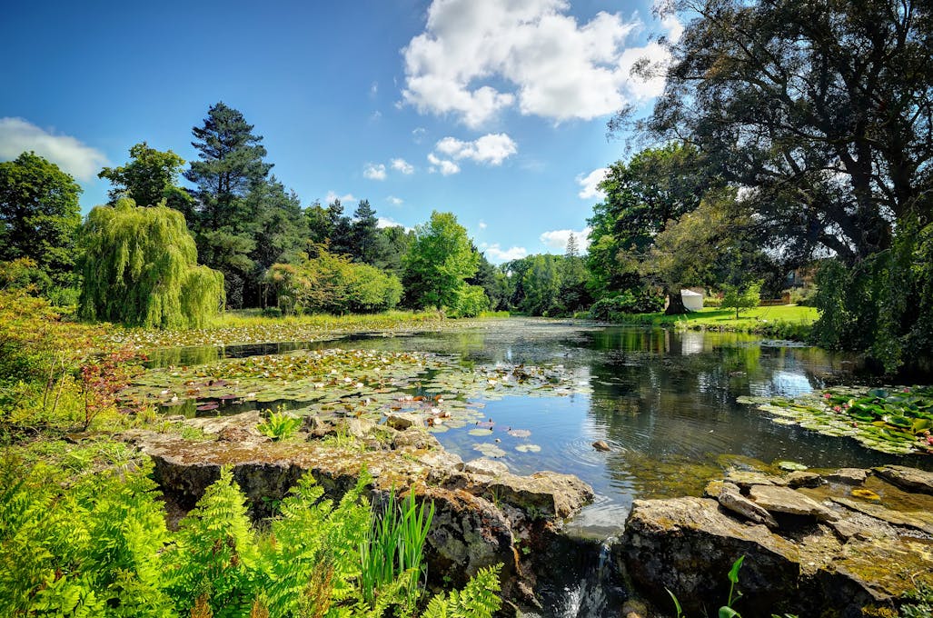 Lifehouse Spa & Hotel Lake View