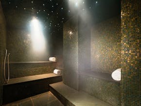 The May Fair, A Radisson Collection Hotel Steam Room