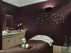 Hanbury Manor - A Marriott Hotel & Country Club Treatment Room